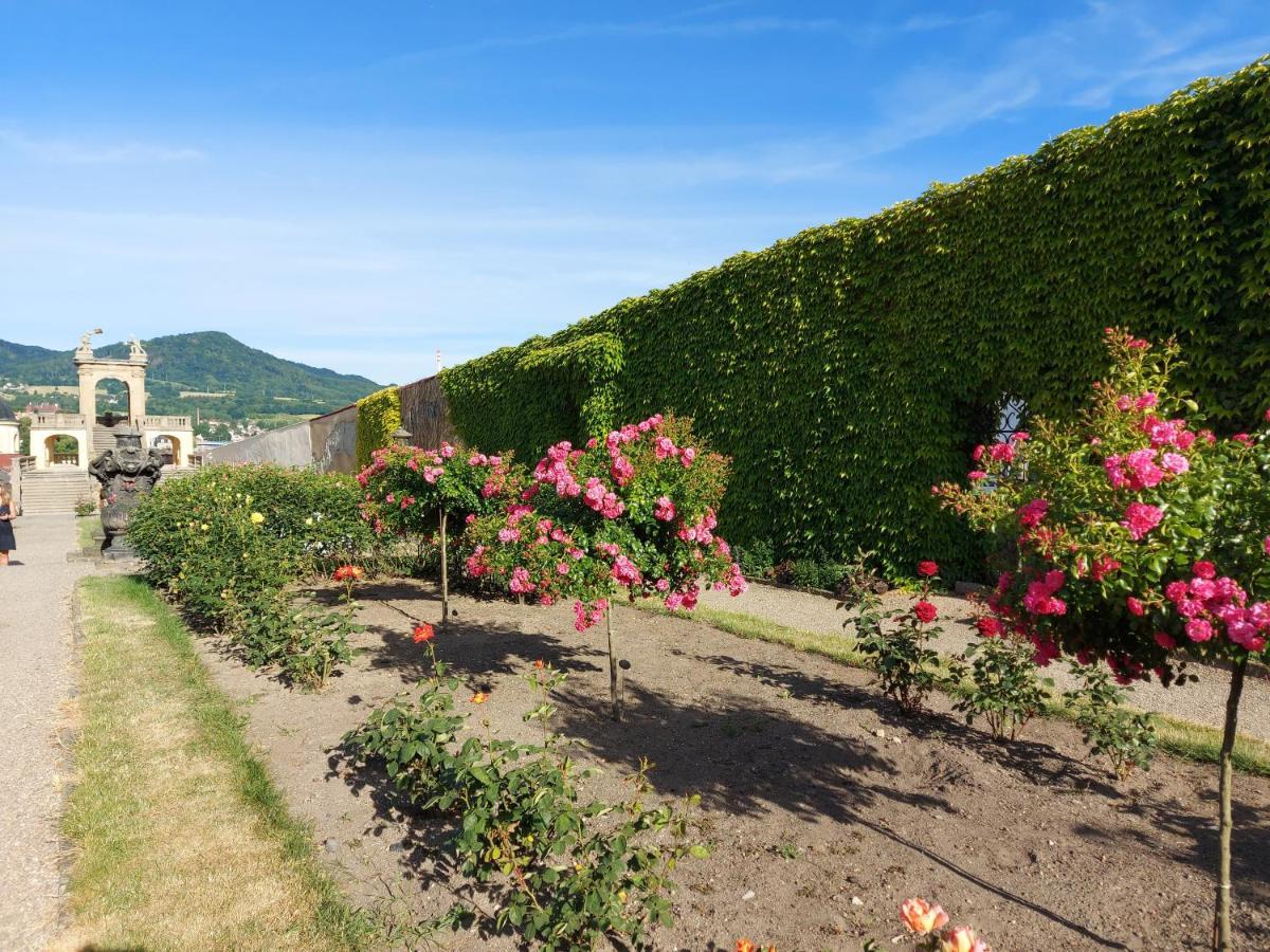 Apartments Rose Garden Ντέτσιν Εξωτερικό φωτογραφία